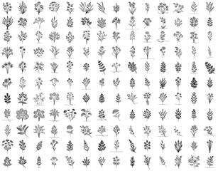 wild plants and wild flowers, large collection of hand drawn flowers in monoline doodle style