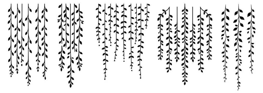 hanging vines illustration creating a natural curtain effect garland vector shape