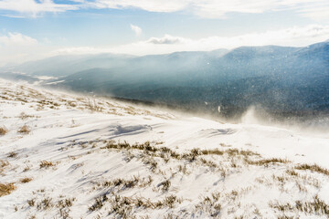 Winter Ascent on Połonina Caryńska