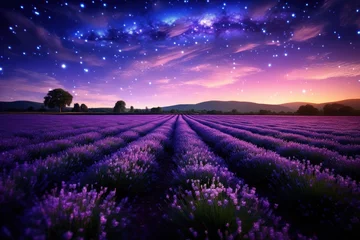 Fototapete Rund Lavender field landscape outdoors. © Rawpixel.com
