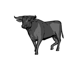 Bull , animal vector ilustration isolated design template cartoon 