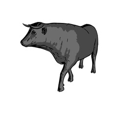 Bull , animal vector ilustration isolated design template cartoon 