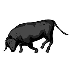 Bull , animal vector ilustration isolated design template cartoon 