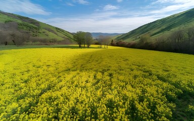 serene river flowing through a rocky woodland landscape