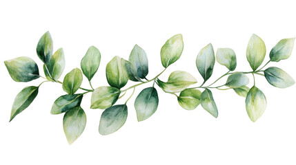 Naklejka premium Elegant Green Foliage Border Watercolor Illustration for Botanical Art Prints and Greeting Cards on White Background with Copy Space