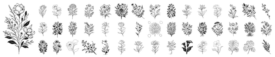 minimalist hand-drawn floral elements in various styles