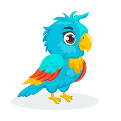 Cute cartoon Parrot, wild animal baby parrot. Wild nature little parrot vector illustration isolated on white background.