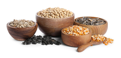 Different sunflower seeds, soybeans and corn kernels in bowls isolated on white,