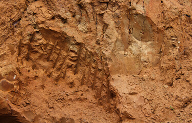 Clay soil cut. Red color of clay.