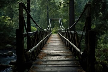 Fototapeta premium Long wood bridge into the forest outdoors nature plant.