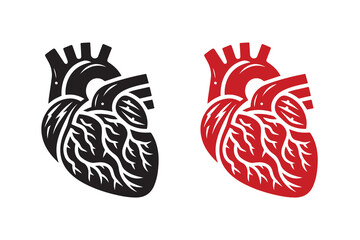 Human Cardiac Muscle Art and Graphics silhouette Illustration