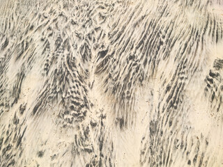 Wet sand texture with ripples. Natural background