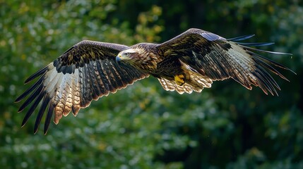Majestic eagle soaring through the forest in a powerful nature scene