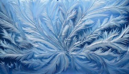 Fototapeta premium Intricate frost patterns on glass