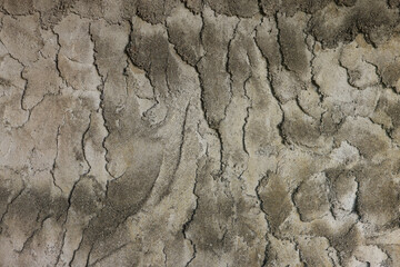 Close-up of different shades of grey plaster texture background with a complex wavy pattern, ideal for artistic backdrops. Decorative abstract plaster texture with smears of different size.