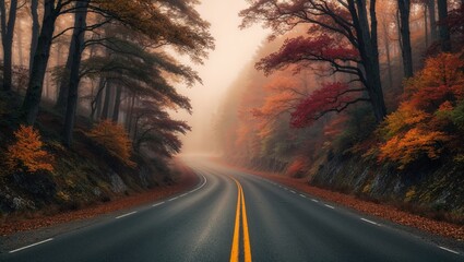 Obraz premium A Winding Road Through a Misty Autumn Forest.