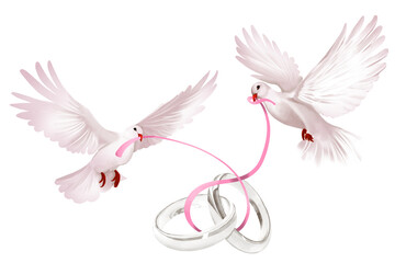 White dove with silver ring, engagement, wedding Hand drawn illustration on a transparent background