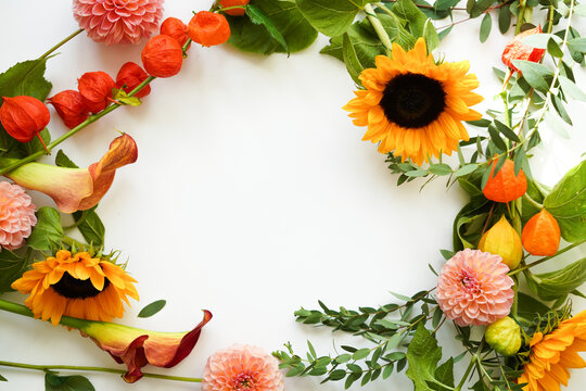 colorful autumn bouquet, top view. sunflower, eucalyptus and phaselis on a white background