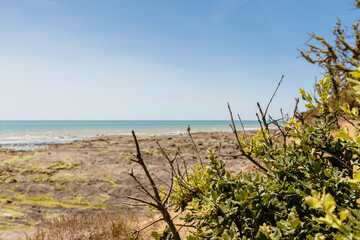 view of La Mine beach in Jard sur Mer, France
