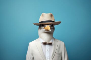 Bird animal adult photo.