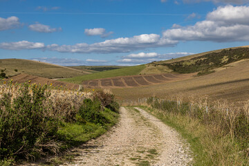 A pathway in the South Downs on a sunny autumn day
