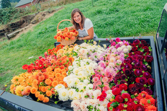 Smiling woman with a basket poses behind a truck bed full of vibrant, freshly picked flowers.