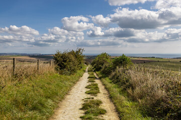 Looking along a pathway in the South Downs, on a sunny September day