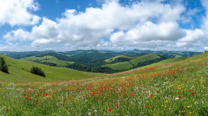 A vibrant meadow filled with colorful wildflowers and rolling green hills under a blue sky.