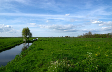 Obraz premium Landscape green meadow and canal with clear water
