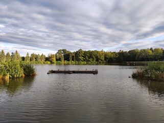 Abendstimmung am Waldsee