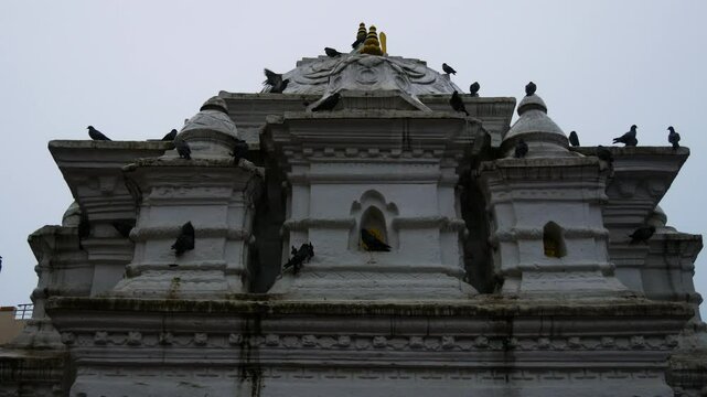 Pigeons and birds taking shelter on a temple during heavy rainfall and flooding in Kathmandu valley on September 28, 2024.