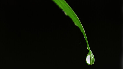 water drop