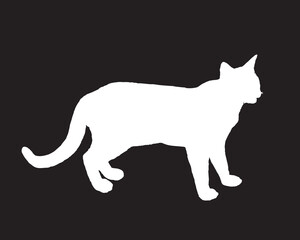 Cat white silhouette vector illustration on black background