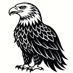Fototapeta premium Eagle silhouette vector isolated on white background