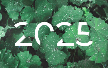 2025 New year white text hidden in natural green leaves