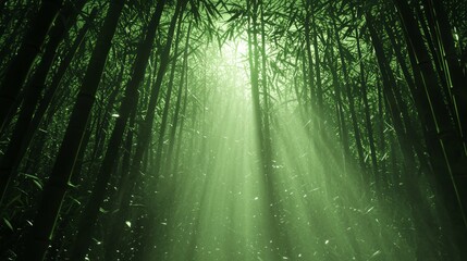Obraz premium Mystical Ancient Chinese Dark Mythology Scene in Eerie Bamboo Grove with Moving Shadows