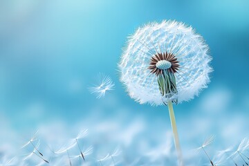 Obraz premium A dandelion is the main focus of the image, with its white petals