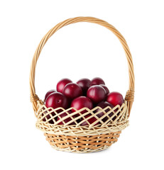 Fresh ripe plums in wicker basket isolated on white