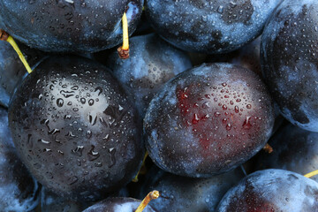 Many fresh plums with water drops as background, top view
