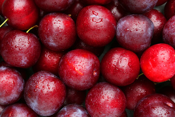 Many fresh plums with water drops as background, top view