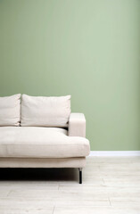 Stylish sofa in living room. Interior design