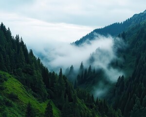 Fog rolling through a mountain pass, foggy weather, mysterious and silent