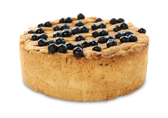 Delicious homemade blueberry pie isolated on white