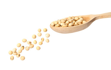 Spoon with soy beans isolated on white