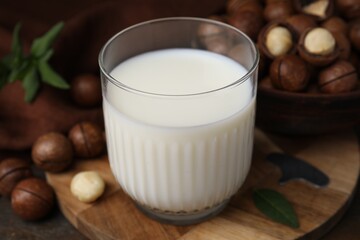 Glass of macadamia milk and nuts on wooden table, closeup