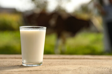Fresh milk in glass on wooden table outdoors