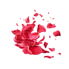 Red rose petal on Transparent background