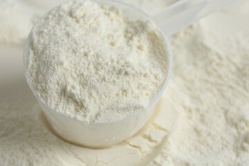 Pile of protein powder and scoop, closeup