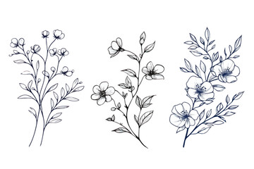 Set of elegant floral branch illustrations with delicate flowers and leaves in black and white, minimalistic botanical design for decorative purposes  