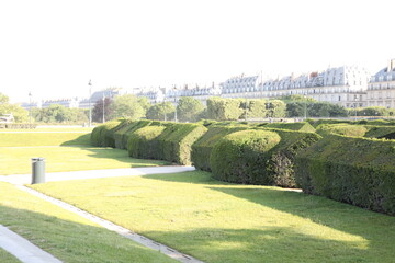 parc tuilerie